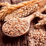 Grains, Legumes & Seeds