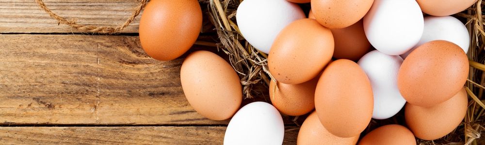 Egg Cookers & Tools Egg Cookers & Tools