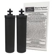 Black Berkey water purification elements