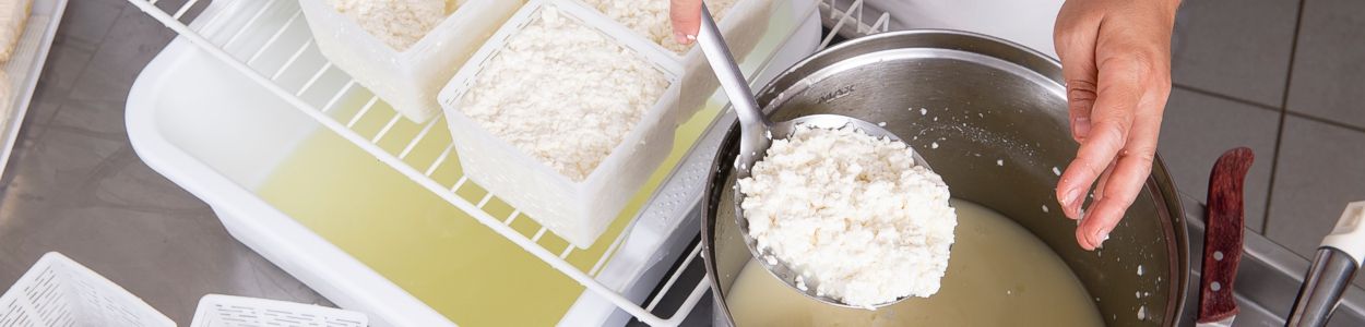 奶酪制作工艺横幅