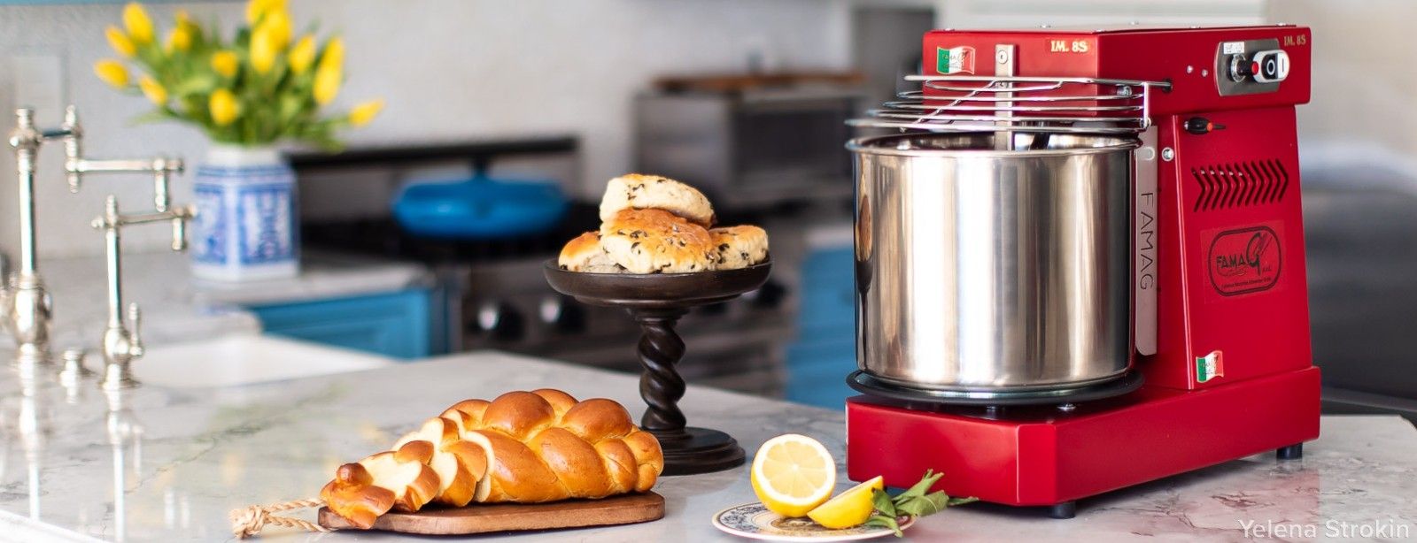 Famag spiral dough mixer 法玛格螺旋混合器