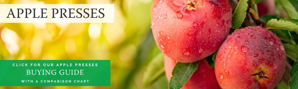 苹果发布购买指南