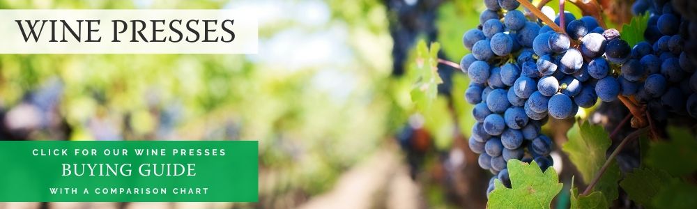 Wine Presses Buying Guide
