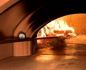Wood fired Alfa oven