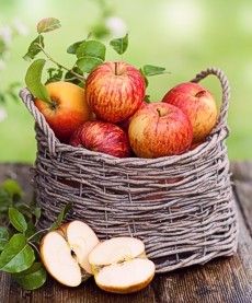 果园边篮子里的苹果