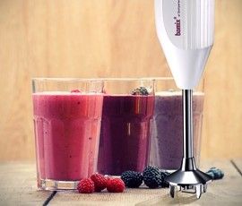 Bamix Mono浸入式搅拌机