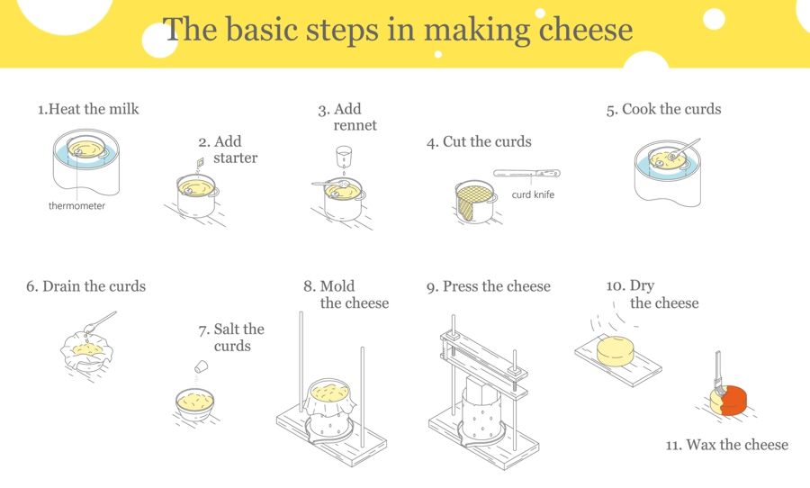 Basic cheesemaking steps