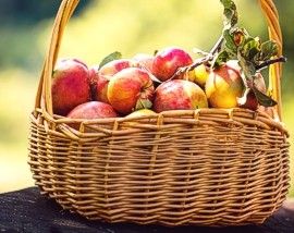 苹果在篮子里