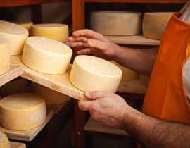 窖藏奶酪的地下室