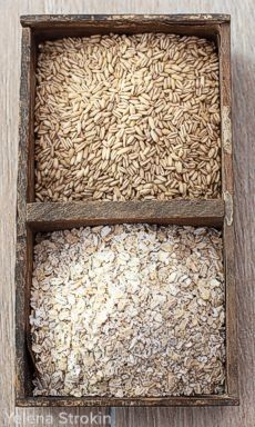 Oats before & after flaking in the Family Grain Mill flaker FGM脱粒机脱粒前后的燕麦粒