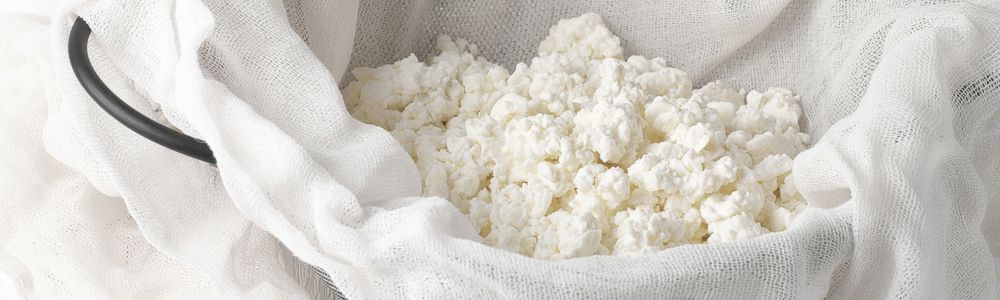 Cheese & Butter Making Cheese & Butter Making